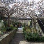 The Castle Gardens, Dublin Castle